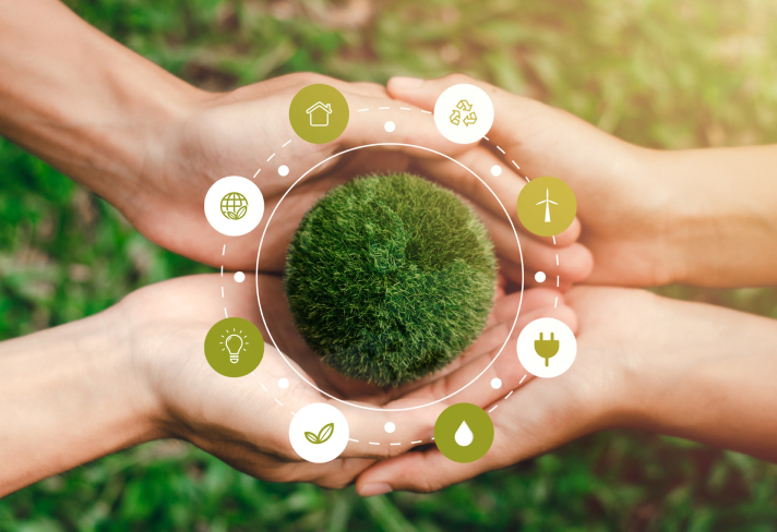 Serie de sesiones virtuales sobre educación ambiental y sostenibilidad